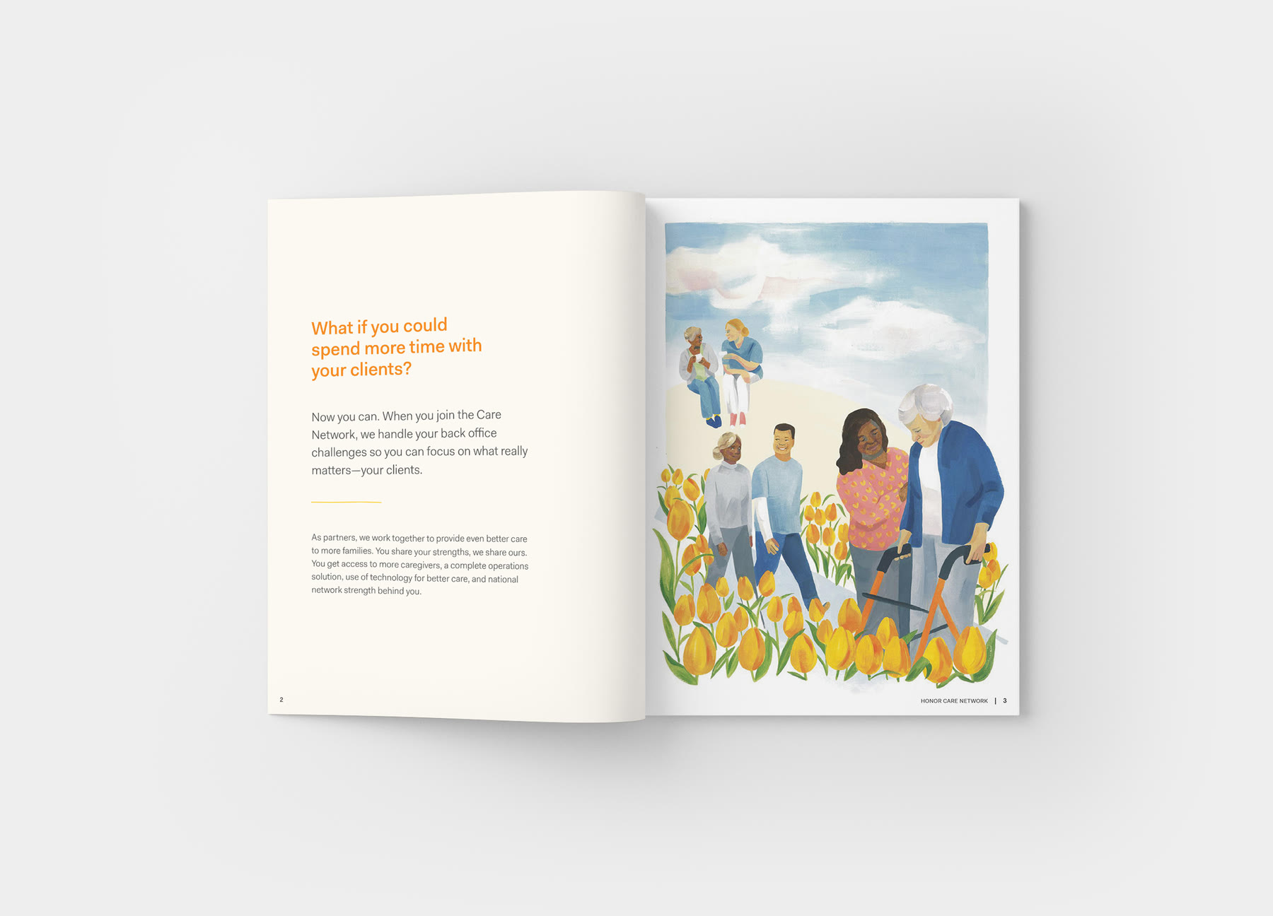 Honor product design